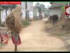 PODCAST – { Khati Adibasi } Manu Ojha & Sarothi Mahato | Purulia Bangla Song | Nitin & Disha