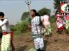 PODCAST – Santali Song 2023 { Egering Kana Ko }