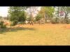 PODCAST – Fight Scenes | New Kurukh Comedy 2023 |