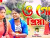 PODCAST – O Go Priya 💔 {ও গো প্রিয়া} 😭