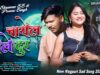 MUSIC PODCAST – Chayal Gele Dur 💔New Nagpuri Sad Gana